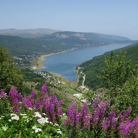 Forest View Apartment Mavrovo Exterior photo