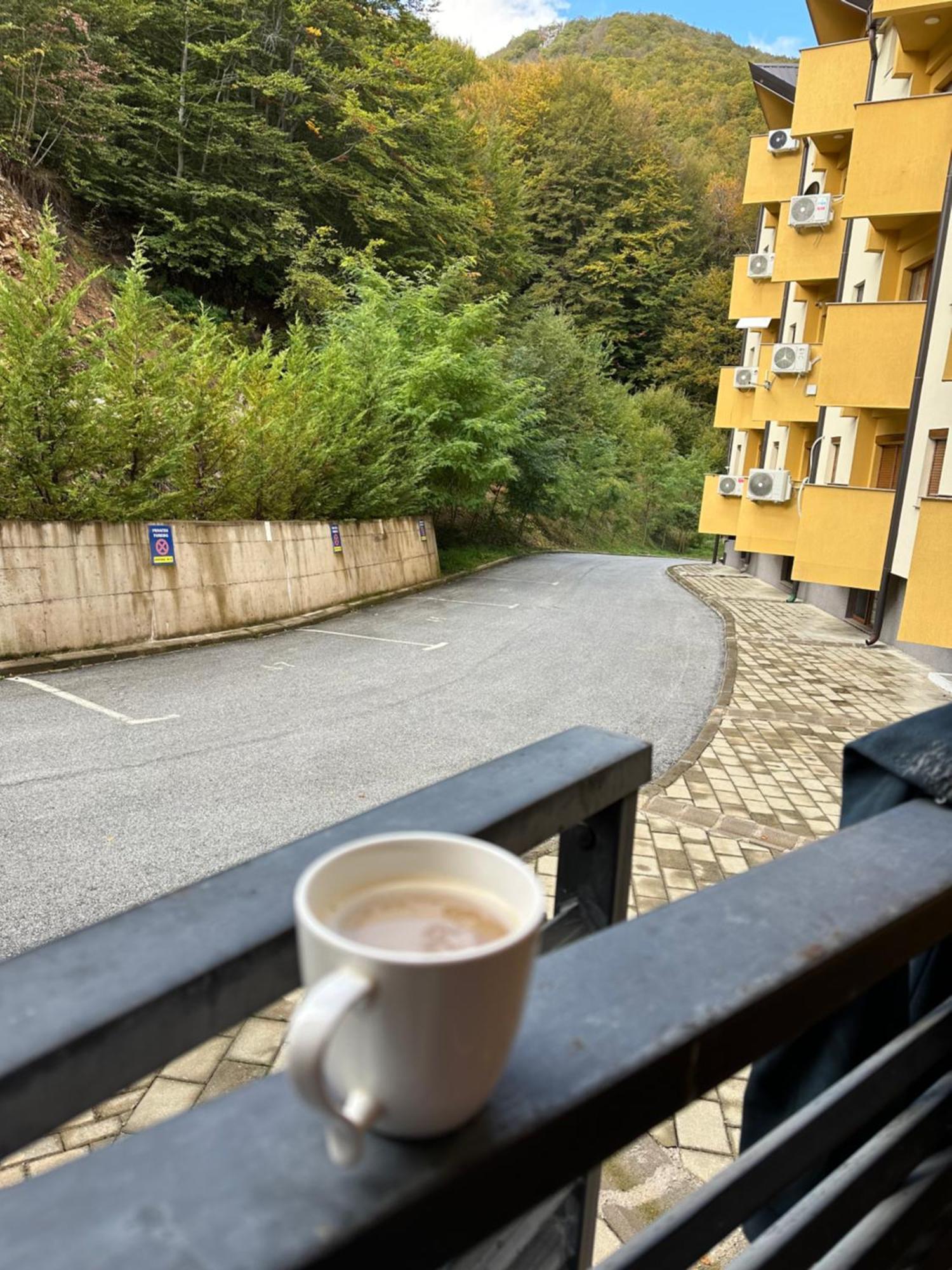Forest View Apartment Mavrovo