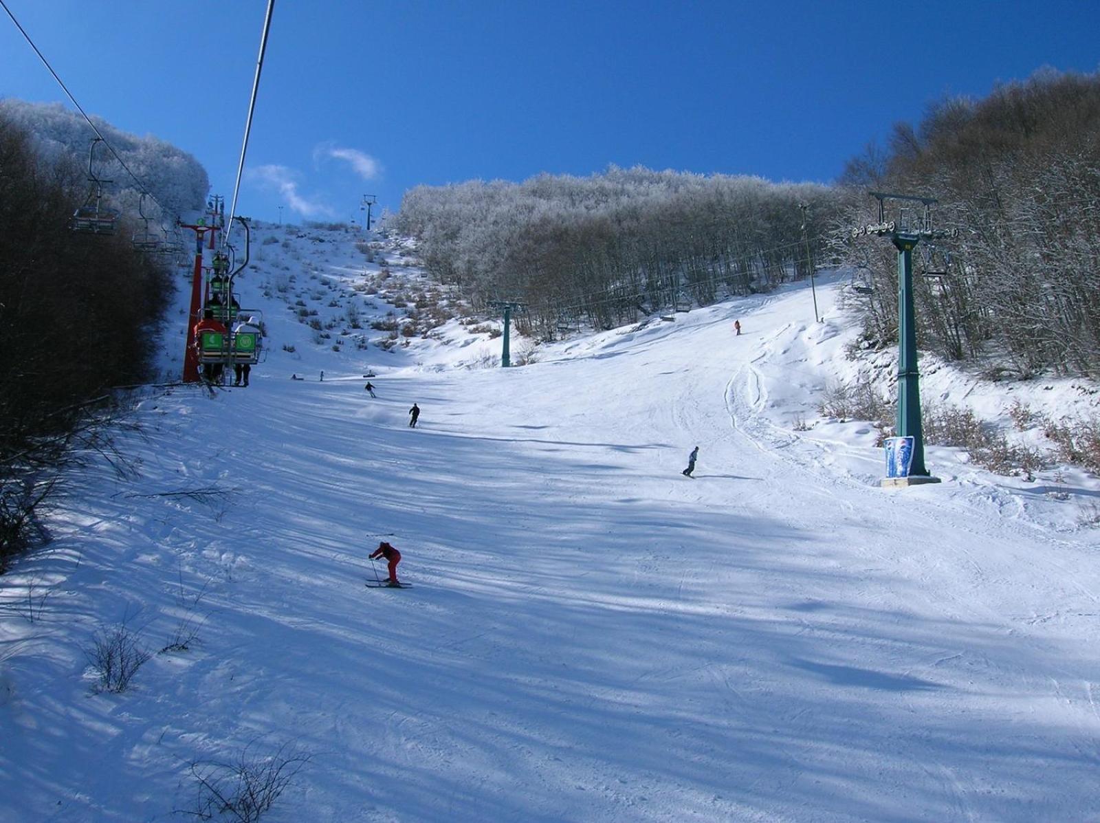 Forest View * Mavrovo